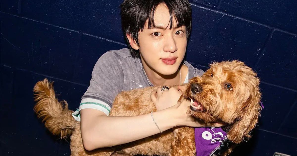Watch An Interview With Stoney Blue, BTS’s Touring Therapy Dog
