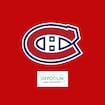 Depotium Mini Entrepot Canadiens Pre-Game Show